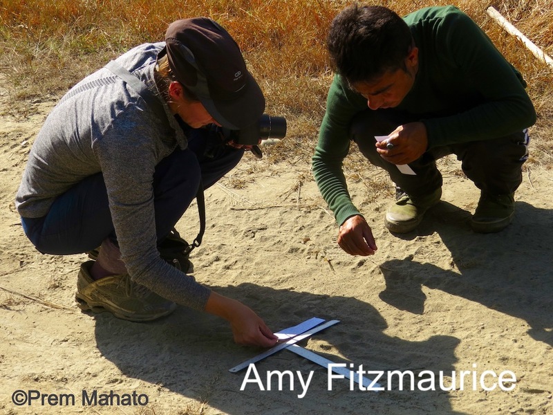 Trackers recording a tiger footprint in the field
