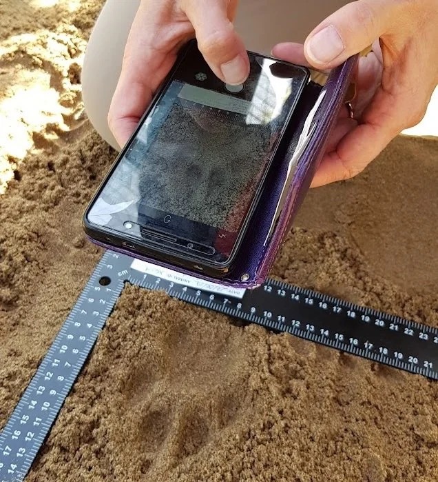 The WildTrackAI mobile app open in the field, capturing a footprint observation