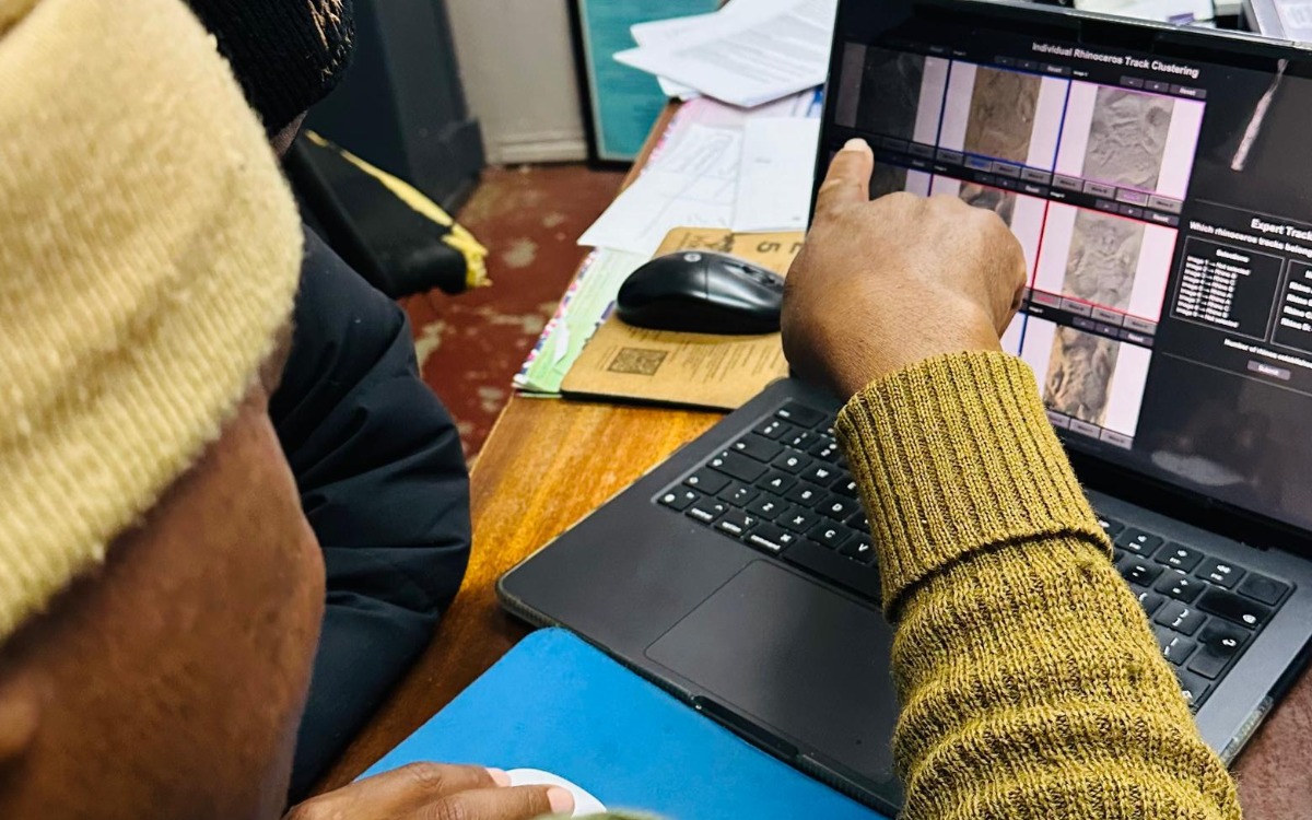 An expert tracker interprets rhino track images